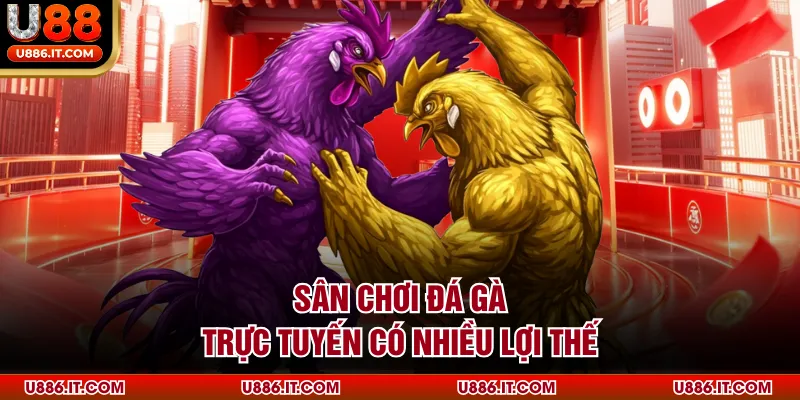 Sân chơi đá gà trực tuyến có nhiều lợi thế